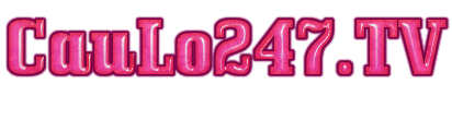 soi cau 247