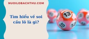Lô hay ra thứ 4 bạn nên biết